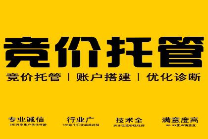 精准营销的秘诀：sem优化托管的案例研究